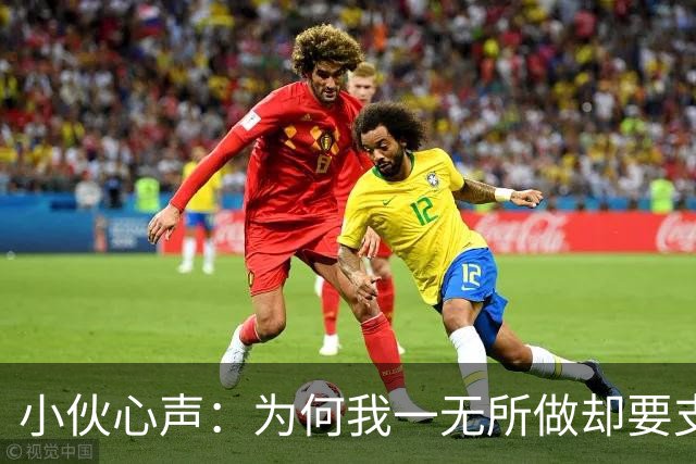 小伙心声：为何我一无所做却要支付如此高额维修费？